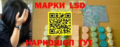 мдпв Донской