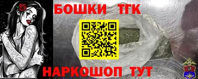гидра Славгород