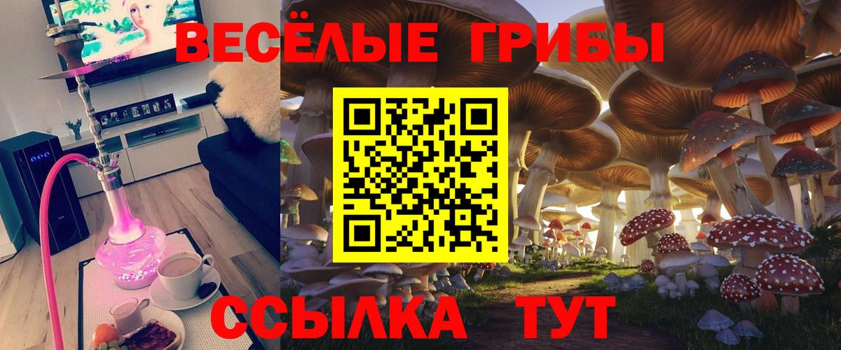 Москва  Псилоцибиновые грибы Psilocybe  Вход с VPN  Псилоцибиновые грибы MAGIC MUSHROOMS 